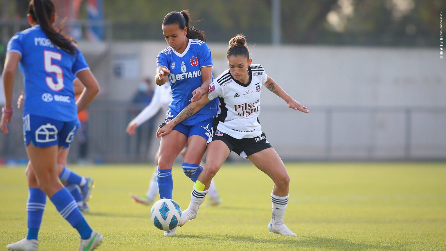 La Programaci N De La Gran Final Del Campeonato Femenino