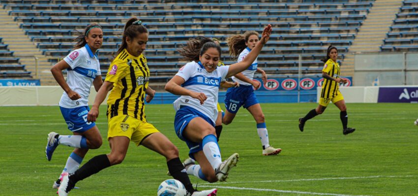 Universidad Católica v Fernández Vial