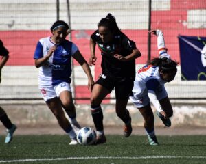 antofagasta vs palestino