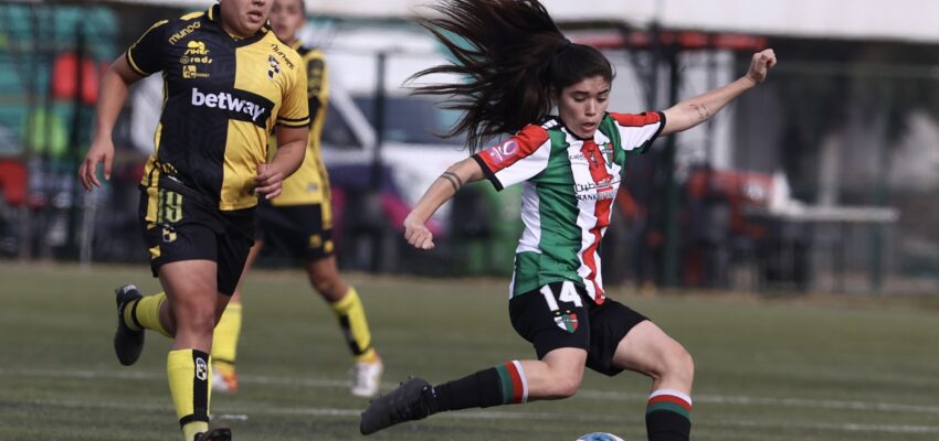 Palestino y Coquimbo Unido empatan fecha 13 e