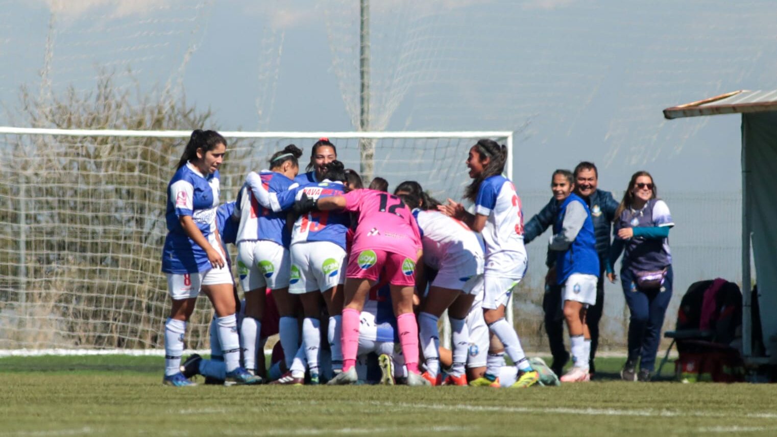 Deportes Antofagasta le remonta a Audax Italiano y alarga su agonía